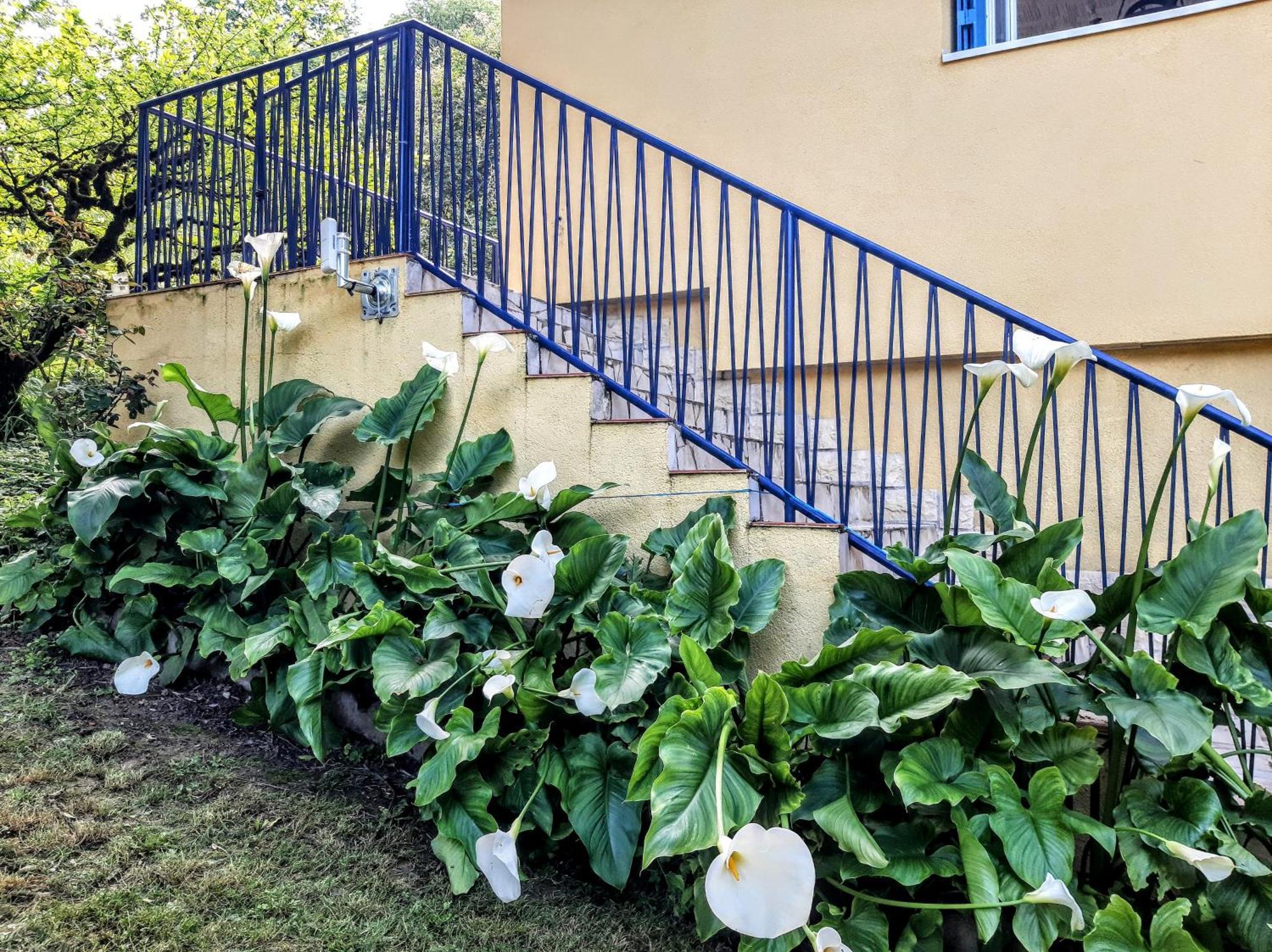 Maison Sur Les Coteaux A 25 Minutes D'agen *